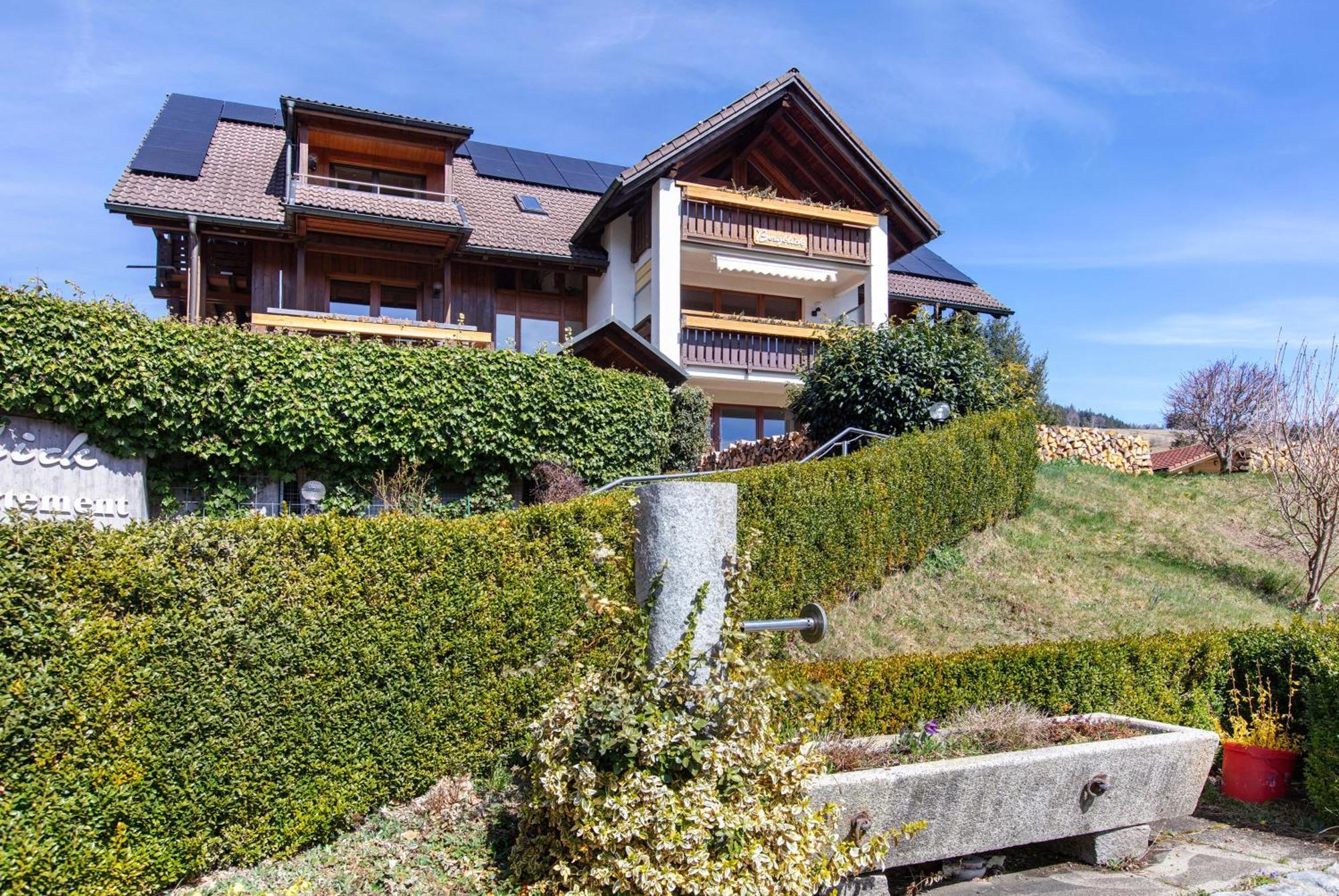 Apartment Bergblick *